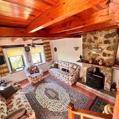 Benzersiz Jakuzili Villa Fethiye