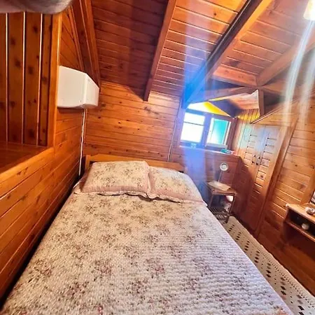 Benzersiz Jakuzili Villa *