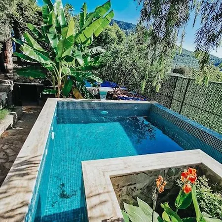Benzersiz Jakuzili Fethiye