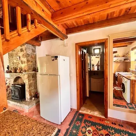 Benzersiz Jakuzili فتحية
