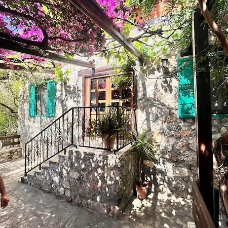 Benzersiz Jakuzili فيلة فتحية