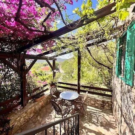 Benzersiz Jakuzili فيلة
