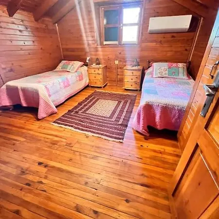 Benzersiz Jakuzili Villa *