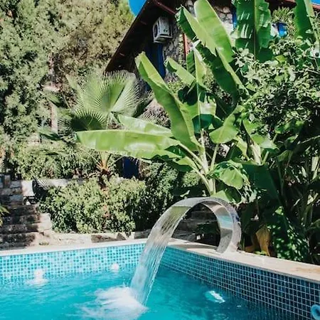 Benzersiz Jakuzili * Fethiye