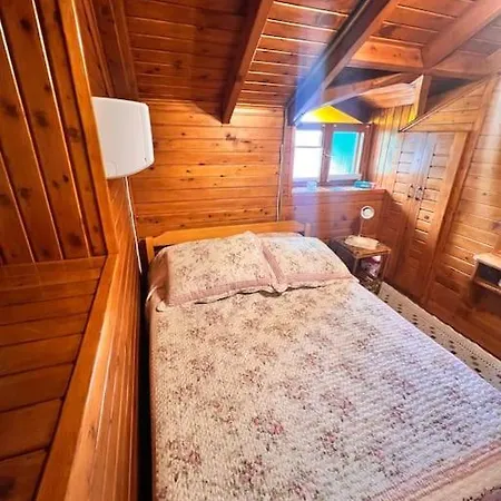 Benzersiz Jakuzili Villa *