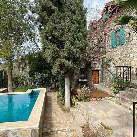 Benzersiz Jakuzili Villa *