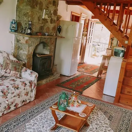 Benzersiz Jakuzili * Fethiye